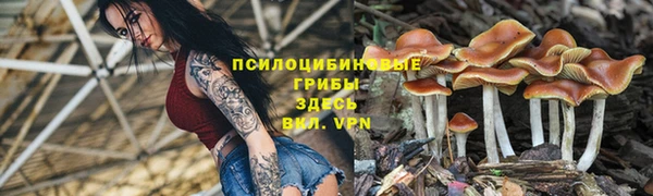 альфа пвп Липки